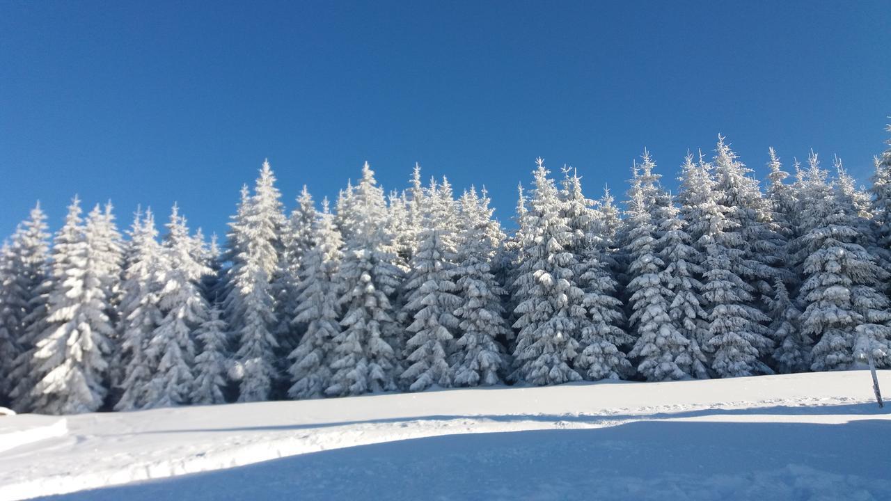 Chata Karolinka Benecko Dış mekan fotoğraf